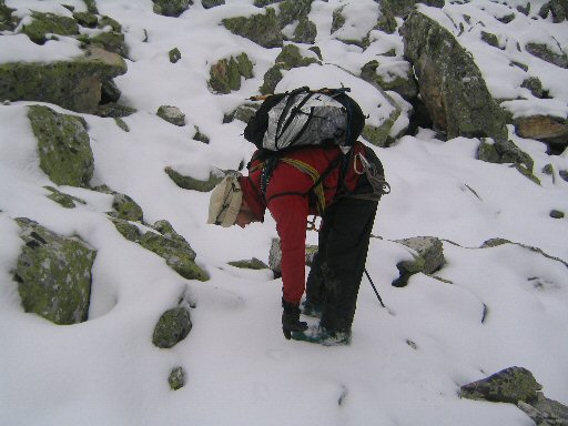 Aiguille Grive (15).jpg - Regardez ces traces de renard !!!